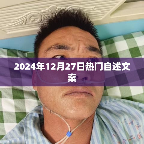 精选自述文案,引爆热点,2024年12月27日热门自述盘点