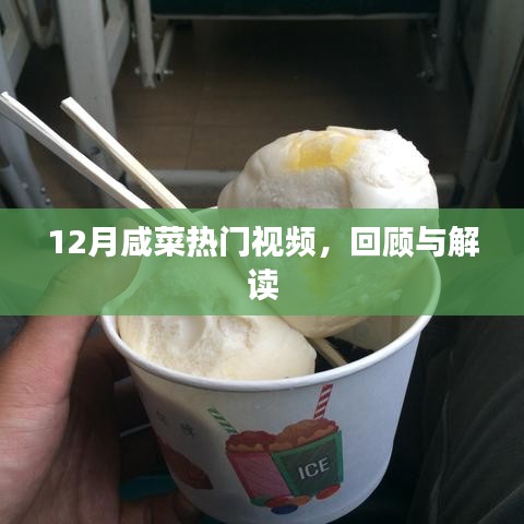 12月咸菜热门视频回顾与解读,一网打尽精彩瞬间