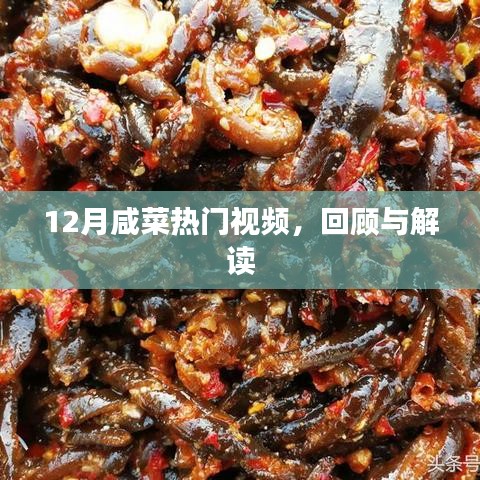 12月咸菜热门视频回顾与解读,一网打尽精彩瞬间