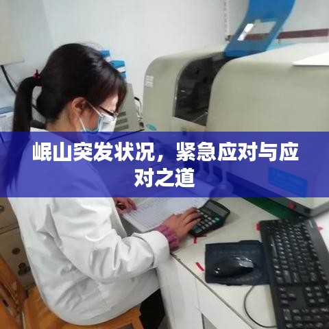 岷山突发状况,紧急应对与应对之道