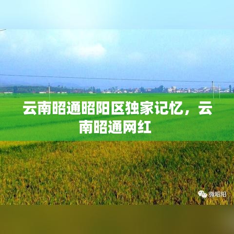 云南昭通昭阳区独家记忆,云南昭通网红