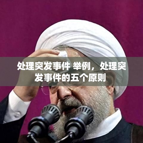 处理突发事件 举例,处理突发事件的五个原则