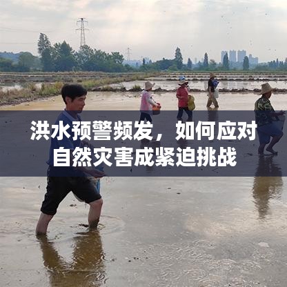 洪水预警频发,如何应对自然灾害成紧迫挑战