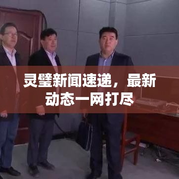 灵璧新闻速递,最新动态一网打尽