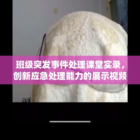 班级突发事件处理课堂实录,创新应急处理能力的展示视频