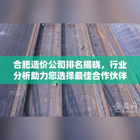 合肥造价公司排名揭晓,行业分析助力您选择最佳合作伙伴!
