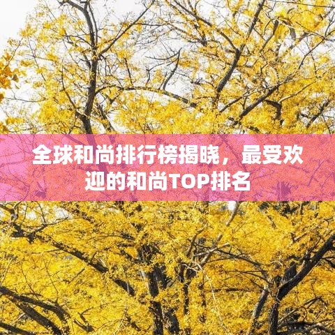 全球和尚排行榜揭晓,最受欢迎的和尚TOP排名