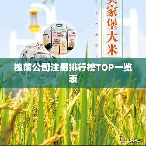 槐荫公司注册排行榜TOP一览表