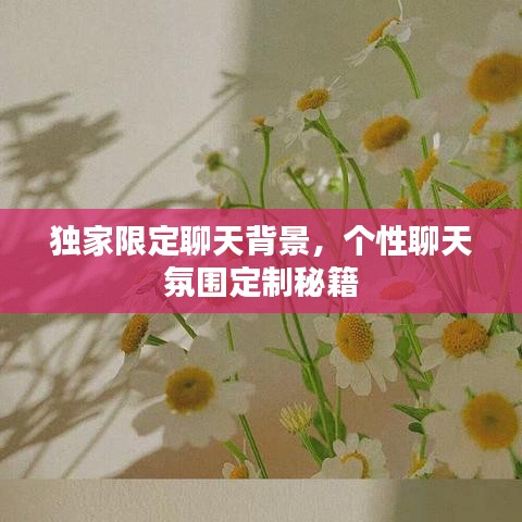 独家限定聊天背景,个性聊天氛围定制秘籍