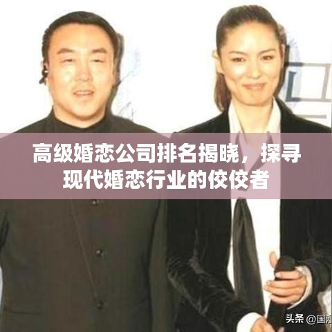 高级婚恋公司排名揭晓,探寻现代婚恋行业的佼佼者