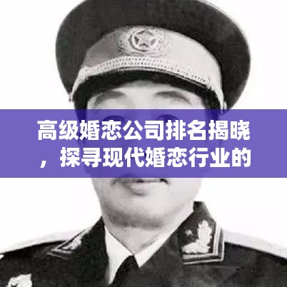 高级婚恋公司排名揭晓,探寻现代婚恋行业的佼佼者