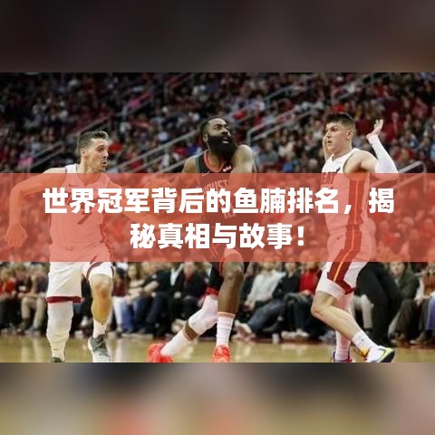 世界冠军背后的鱼腩排名,揭秘真相与故事!