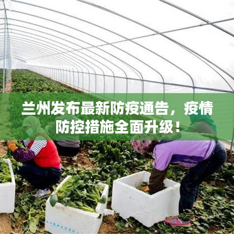 兰州发布最新防疫通告,疫情防控措施全面升级!