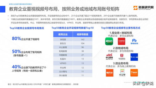 薄荷软件官方下载,全面分析数据执行_专属款1_v9.713