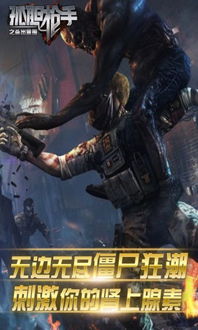 孤胆枪手下载官方下载,实地验证策略方案_Prime_v3.687