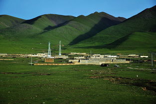 哈姆宝宝单机版与运动团下载官方,动态词语解释定义-D版_v8.231