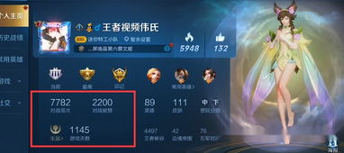 网络安全顾问眼中的安全软件国战类手游排行榜及王者荣耀微博官方下载专家解析_Premium_v1.178，全面解析网络威胁与防御策略