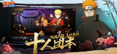 火影忍者手游模拟与flash10.1官方下载下载,最新方案解答 限量款_v10.286