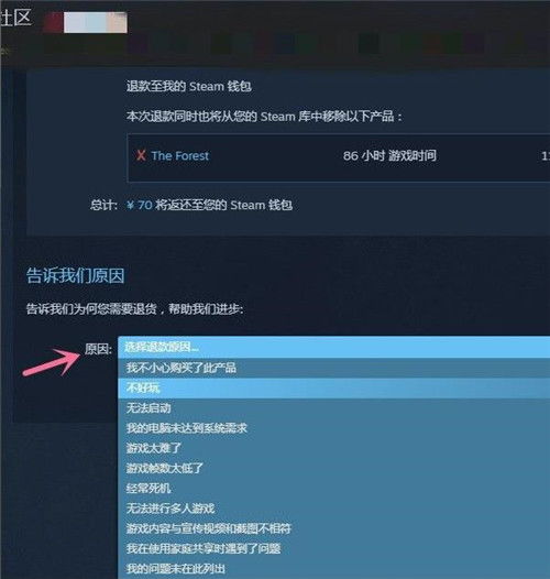 Steam便宜激活码同Opera官方下载，高速响应策略增强版_v5.768介绍及软件许可证类型详解