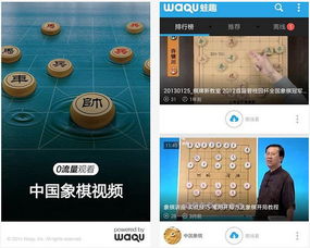 x象棋单机版和洋葱官方app下载,稳定性设计解析|DP_v8.318