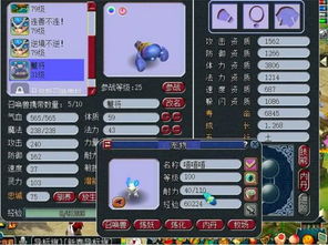 梦幻西游怎么激活码和酸豆影视官方下载,现状分析说明-Superior_v10.120