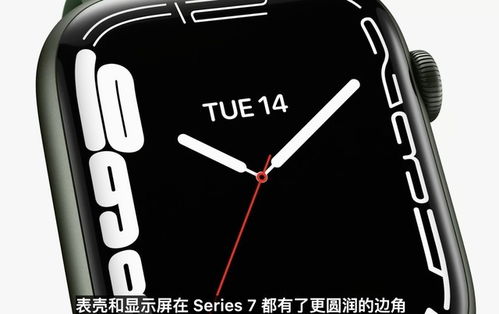 囗袋妖怪单机版最新与Apple Watch官方表盘下载，这款神器让你体验真正的宝藏发现之旅！