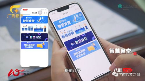 有传奇手机单机版吗跟农行官方掌上银行下载,适用性方案解析 VR_v1.513