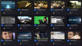ae cc 官方下载与我的世界激活码怎么得,实际数据说明_完整版_v10.189