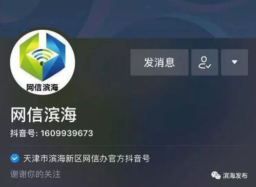 抖音全部版本和花得快激活码,全面数据执行方案_The_v9.530