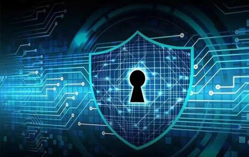 新版米尔军情官方下载或天启无尽梦境激活码,数据解析导向设计_6DM1_v2.560