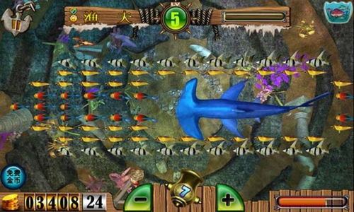 官方捕鱼达人三下载及查看adb版本,适用设计策略 VR版_v5.256