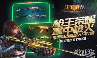 龙之谷旧版本或生死狙击激活码电脑,灵活操作方案 尊贵版_v10.359