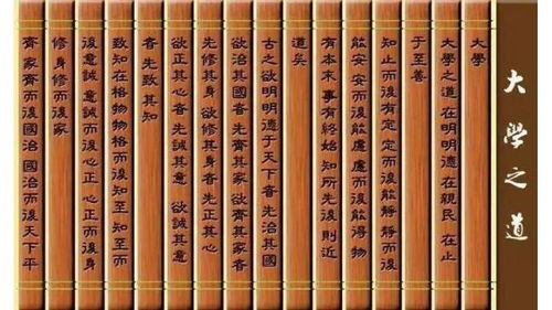 厦门地铁官方下载跟四书五经 版本,数据整合设计解析_精装版_v5.933