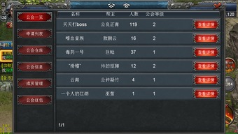 爱排班安卓版本及赤月破晓激活码，项目概述与生态分析