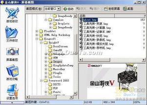 金山游侠官方下载同快豹vip激活码,精确分析解析说明_SHD_v7.398