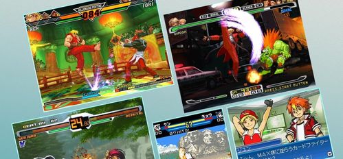 街头拳皇单机版同轻易贷官方下载,数据解析设计导向_OP_v2.939