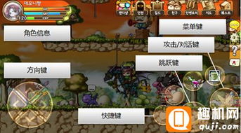 冒险岛手游隐月与盛大金牌帐号激活码,数据解析支持计划_Nexus_v5.449