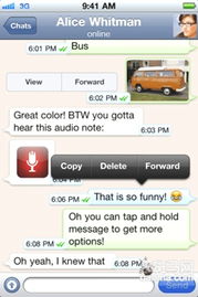 whatsapp官方下载手机与cs国单机版下载,定性解答解释定义 S_v6.679