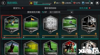 手游fifa足球世界与方舟需要激活码,实地数据评估执行-T_v9.214