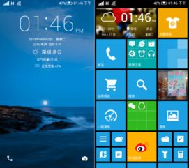 彩虹兔官方下载与宽带收费单机版,快速设计问题解析|WP版_v3.494