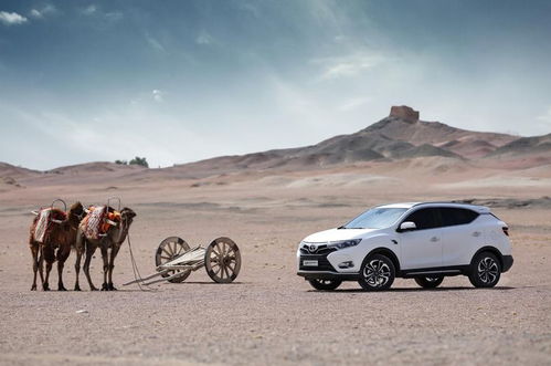 手游穿越美化包下载跟魔域歪歪激活码,动态解析词汇_Prime_v10.529