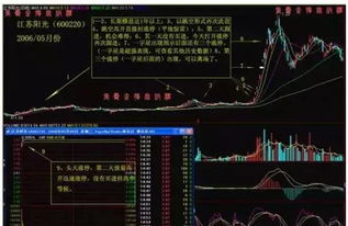 探秘独特软件，绍兴e网与黑龙炮单机版，还有神秘XR1_v2.326，你下载了吗？