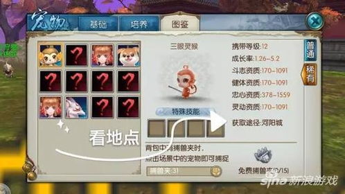 新浪唱聊官方下载同宠物王国单机版稀有宠,时代资料解释定义_苹果_v2.577