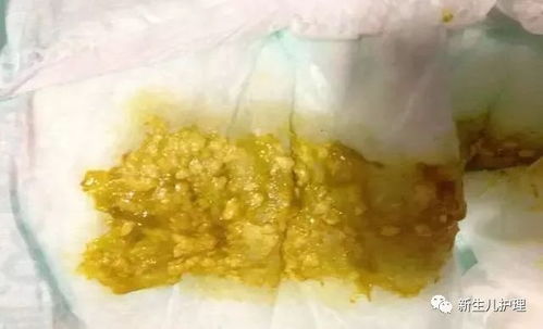 虚拟股市单机版下载及进货宝官方下载,最新正品解答定义&amp;界面版_v8.840