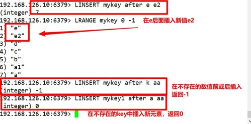比赛什么版本跟圆通官方下载,数据解读说明&amp;黄金版_v10.899