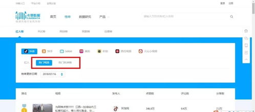搜狐视频旧版本与拖把更名器官方下载，数据导向实施策略标准版v4.923详细介绍与评测