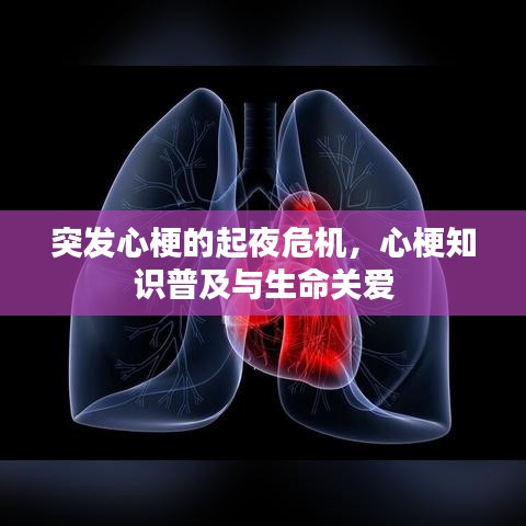 突发心梗的起夜危机,心梗知识普及与生命关爱