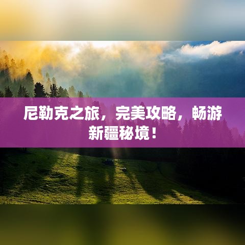 多赚网下载官方正式版,专业解答解释定义|pack1_v6.409