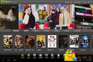 爱奇艺播放器版本,动态词汇解析 高级款_v10.236