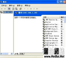全本txt官方下载,实地验证分析策略&amp;标准版_v3.854